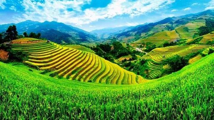 Cơ Hội Khởi Nghiệp Mới Cho Cựu Chiến Binh: Hotspot Matrix